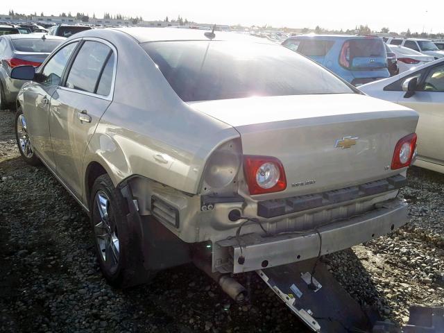 1G1ZH57B99F145464 - 2009 CHEVROLET MALIBU 1LT GOLD photo 3