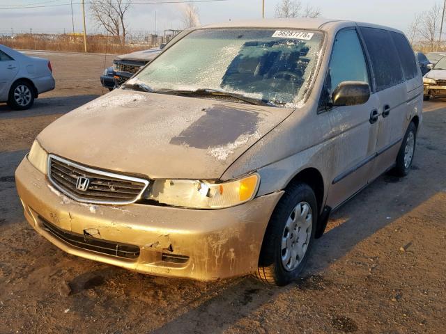 2HKRL185X1H007286 - 2001 HONDA ODYSSEY LX GOLD photo 2