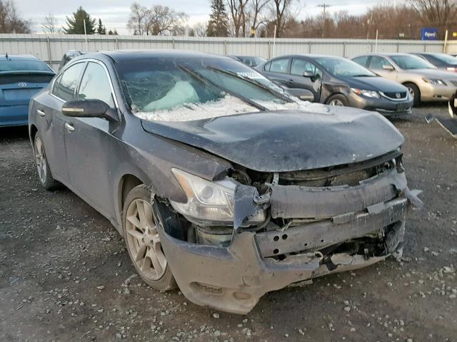 1N4AA5AP9AC842397 - 2010 NISSAN MAXIMA S GRAY photo 1