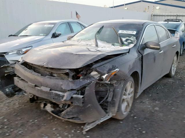 1N4AA5AP9AC842397 - 2010 NISSAN MAXIMA S GRAY photo 2