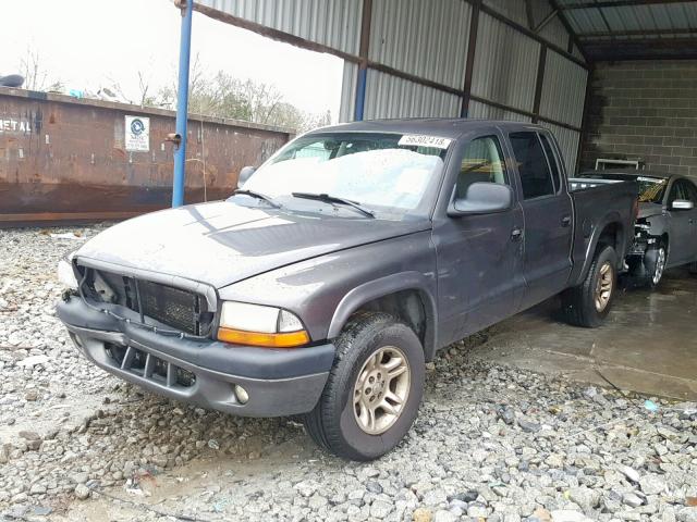 1D7HL38N43S190069 - 2003 DODGE DAKOTA QUA GRAY photo 2