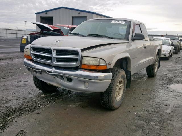 1B7GG22N1YS736167 - 2000 DODGE DAKOTA WHITE photo 2