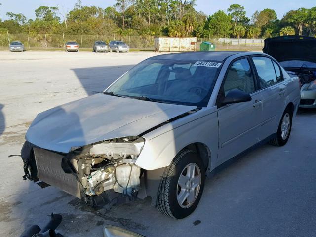 1G1ZT54884F124296 - 2004 CHEVROLET MALIBU LS Մոխրագույն լուսանկար 2