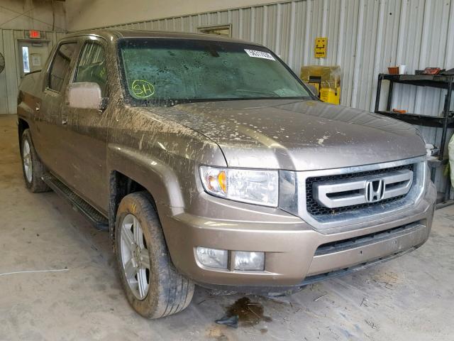 5FPYK1F58AB002577 - 2010 HONDA RIDGELINE GOLD photo 1