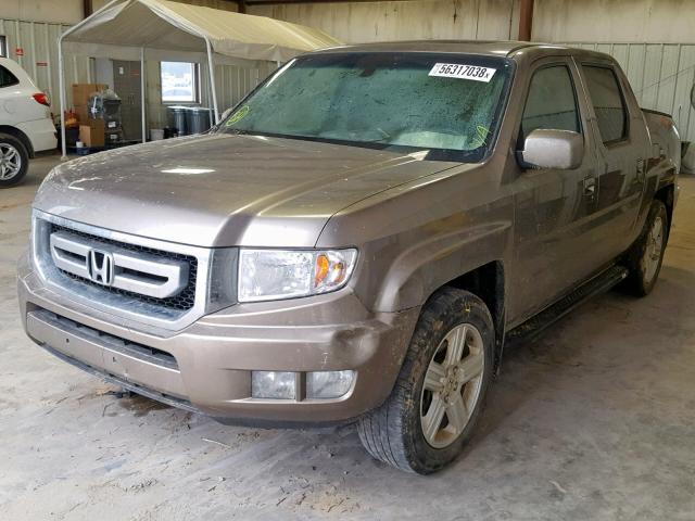 5FPYK1F58AB002577 - 2010 HONDA RIDGELINE GOLD photo 2