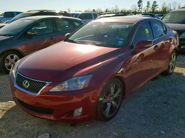 JTHBF5C2XA2096788 - 2010 LEXUS IS 250 RED photo 2