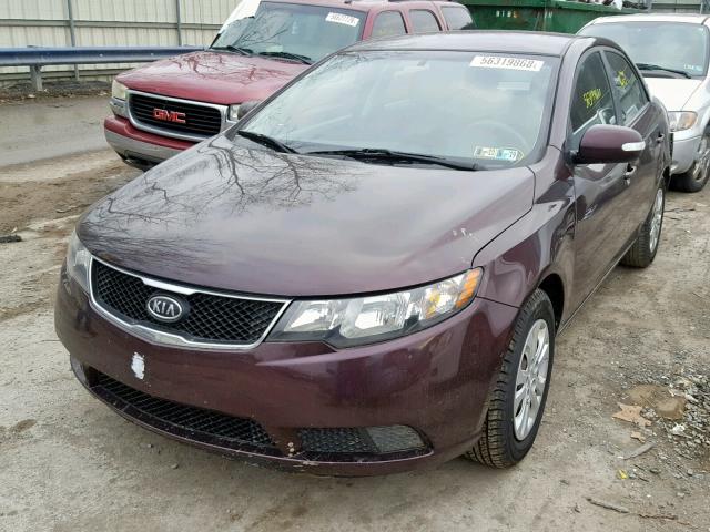 KNAFU4A22A5282147 - 2010 KIA FORTE EX BURGUNDY photo 2