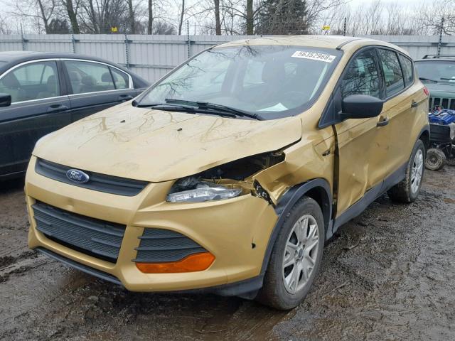 1FMCU0F75EUC49072 - 2014 FORD ESCAPE S GOLD photo 2