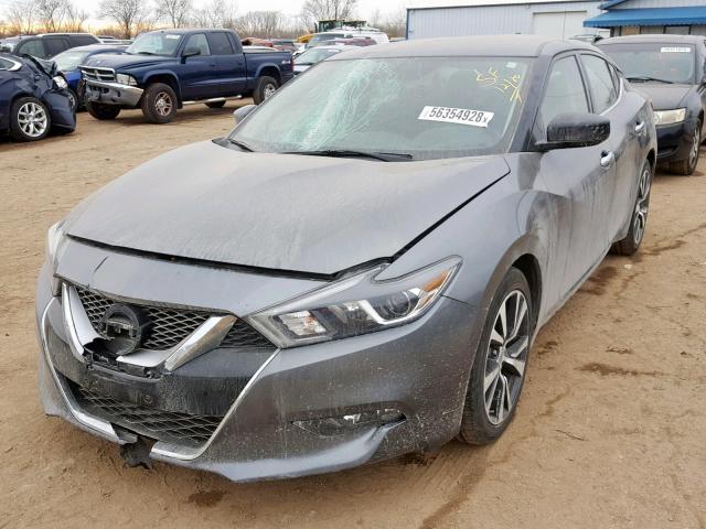 1N4AA6AP0HC371336 - 2017 NISSAN MAXIMA 3.5 GRAY photo 2