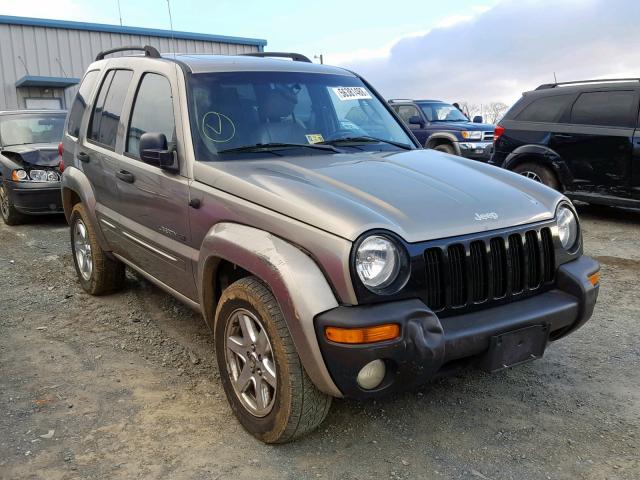 1J8GL58K33W701957 - 2003 JEEP LIBERTY LI GOLD photo 1