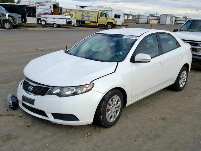 KNAFU4A22B5448538 - 2011 KIA FORTE EX WHITE photo 2