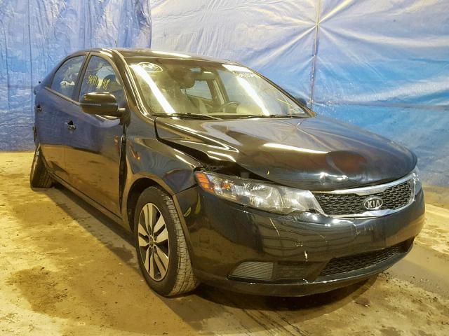 KNAFU4A26D5658515 - 2013 KIA FORTE EX BLACK photo 1