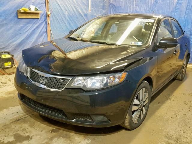 KNAFU4A26D5658515 - 2013 KIA FORTE EX BLACK photo 2