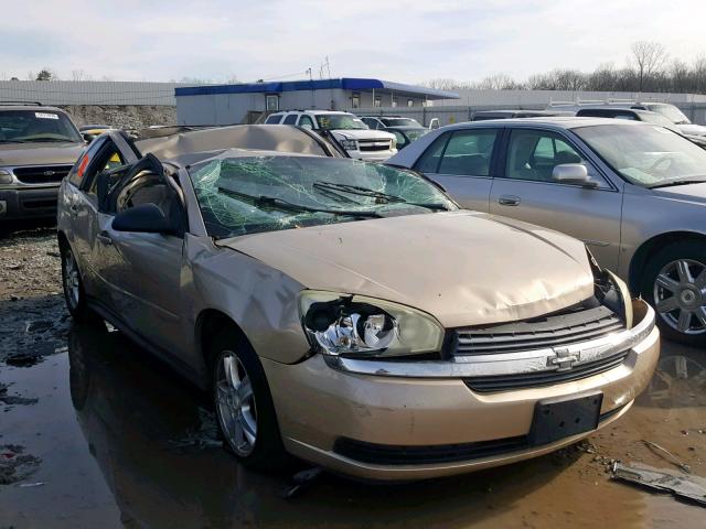 1G1ZT62875F301592 - 2005 CHEVROLET MALIBU MAX GOLD photo 1