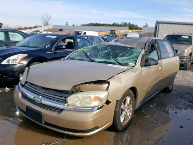 1G1ZT62875F301592 - 2005 CHEVROLET MALIBU MAX ოქროსფერი ფოტო 2