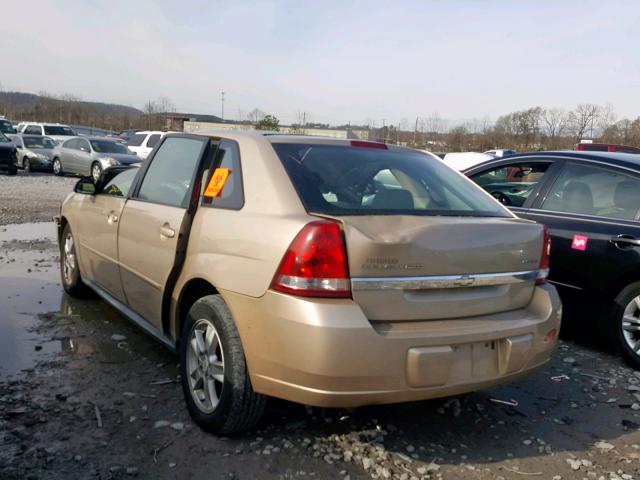 1G1ZT62875F301592 - 2005 CHEVROLET MALIBU MAX GOLD photo 3