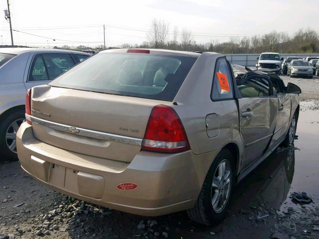 1G1ZT62875F301592 - 2005 CHEVROLET MALIBU MAX ოქროსფერი ფოტო 4