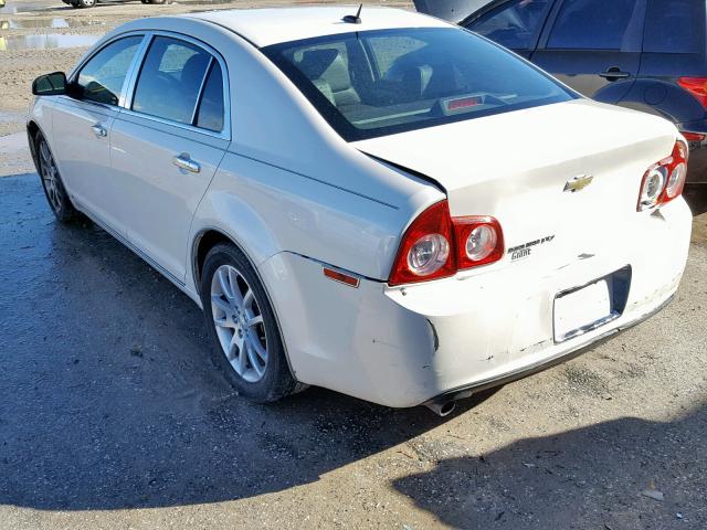 1G1ZE5EB0AF104463 - 2010 CHEVROLET MALIBU LTZ CREAM photo 3