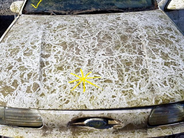 1FALP57U0RA215955 - 1994 FORD TAURUS GL WHITE photo 7