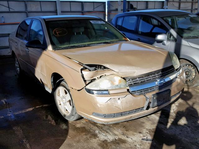 1G1ZT54875F210491 - 2005 CHEVROLET MALIBU LS ოქროსფერი ფოტო 1