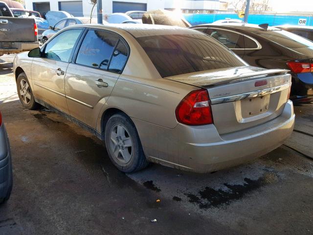 1G1ZT54875F210491 - 2005 CHEVROLET MALIBU LS ოქროსფერი ფოტო 3