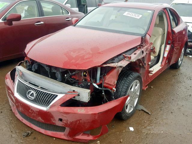 JTHCF5C22A5039942 - 2010 LEXUS IS 250 RED photo 2