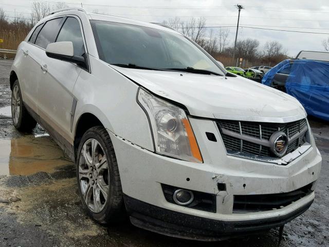 3GYFNFEY1AS602021 - 2010 CADILLAC SRX PREMIU WHITE photo 1