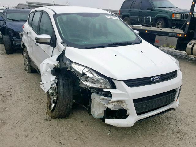 1FMCU0F73EUC49538 - 2014 FORD ESCAPE S WHITE photo 1