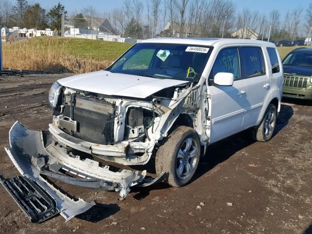 5FNYF4H74DB018356 - 2013 HONDA PILOT EXLN WHITE photo 2