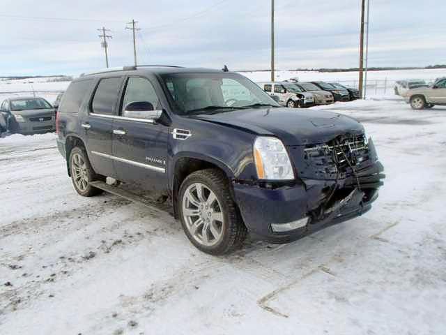 1GYFK53269R106020 - 2009 CADILLAC ESCALADE S BLUE photo 1