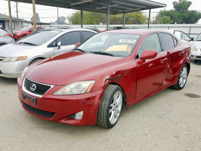 JTHBK262565012212 - 2006 LEXUS IS 250 BURGUNDY photo 2