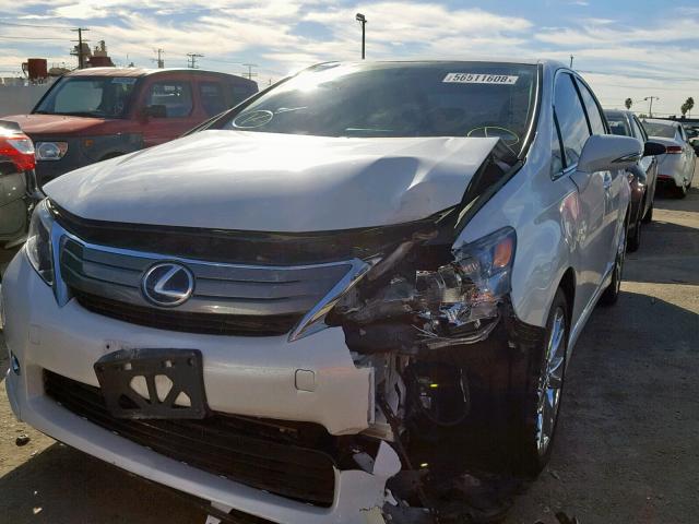 JTHBB1BA9A2009640 - 2010 LEXUS HS 250H WHITE photo 2