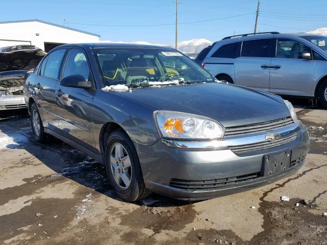 1G1ZT52885F114923 - 2005 CHEVROLET MALIBU LS ნაცრისფერი ფოტო 1