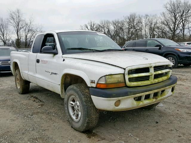 1B7GG22XXYS728022 - 2000 DODGE DAKOTA WHITE photo 1