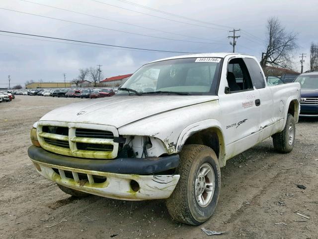 1B7GG22XXYS728022 - 2000 DODGE DAKOTA WHITE photo 2