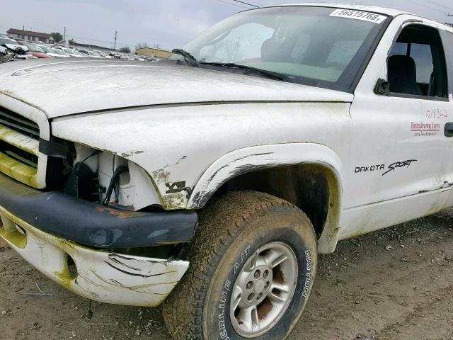 1B7GG22XXYS728022 - 2000 DODGE DAKOTA WHITE photo 9