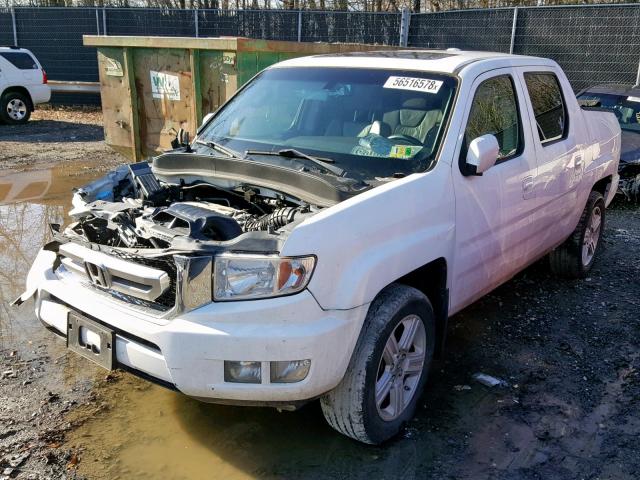 5FPYK1F54BB006952 - 2011 HONDA RIDGELINE WHITE photo 2