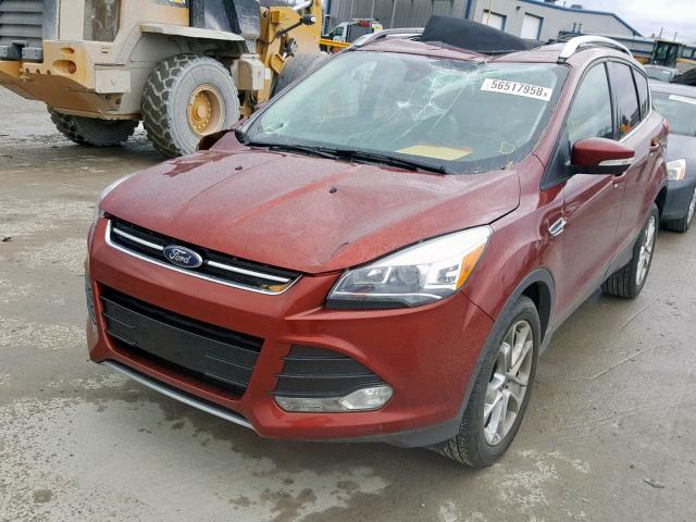 1FMCU0J99GUC34859 - 2016 FORD ESCAPE TIT RED photo 2