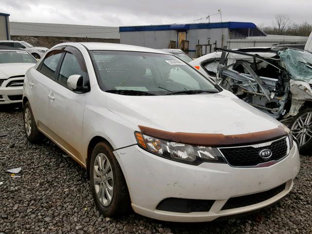 KNAFU4A2XB5460453 - 2011 KIA FORTE EX WHITE photo 1