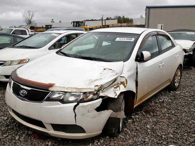 KNAFU4A2XB5460453 - 2011 KIA FORTE EX WHITE photo 2