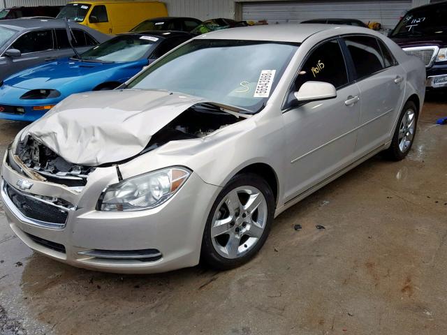 1G1ZC5EB7AF181353 - 2010 CHEVROLET MALIBU 1LT GOLD photo 2