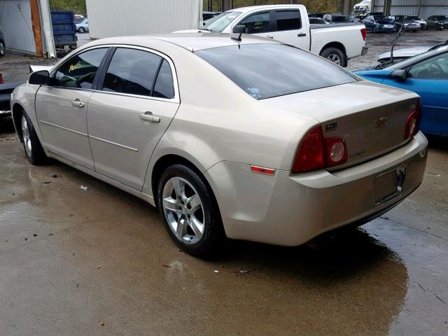 1G1ZC5EB7AF181353 - 2010 CHEVROLET MALIBU 1LT GOLD photo 3