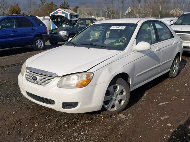 KNAFE121275431540 - 2007 KIA SPECTRA EX WHITE photo 2