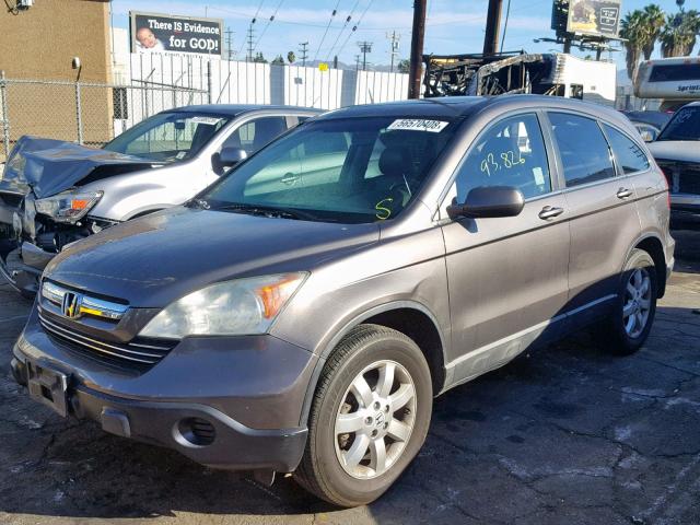 5J6RE38759L007897 - 2009 HONDA CR-V EXL TAN photo 2