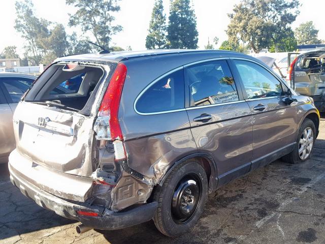 5J6RE38759L007897 - 2009 HONDA CR-V EXL TAN photo 4