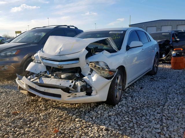 1G1ZC5EU1BF177608 - 2011 CHEVROLET MALIBU 1LT 白色 照片 2