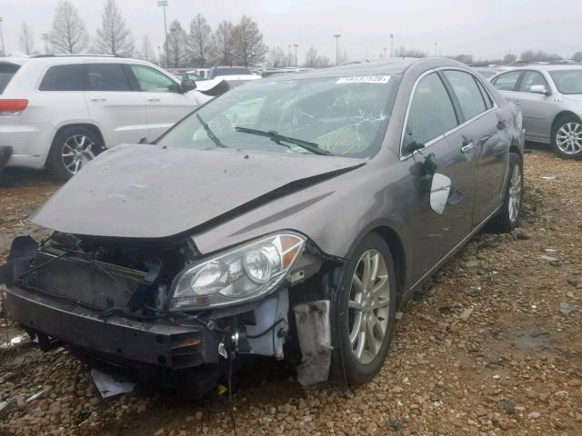 1G1ZE5EU8BF347019 - 2011 CHEVROLET MALIBU LTZ TAN photo 2