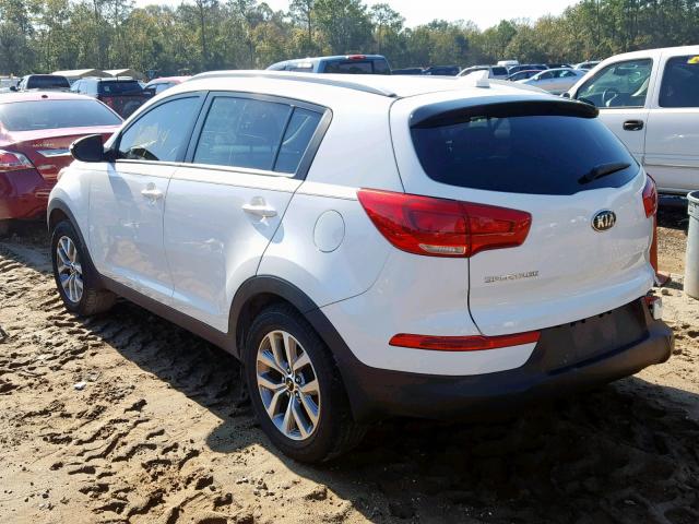 KNDPB3AC3F7697344 - 2015 KIA SPORTAGE L WHITE photo 3