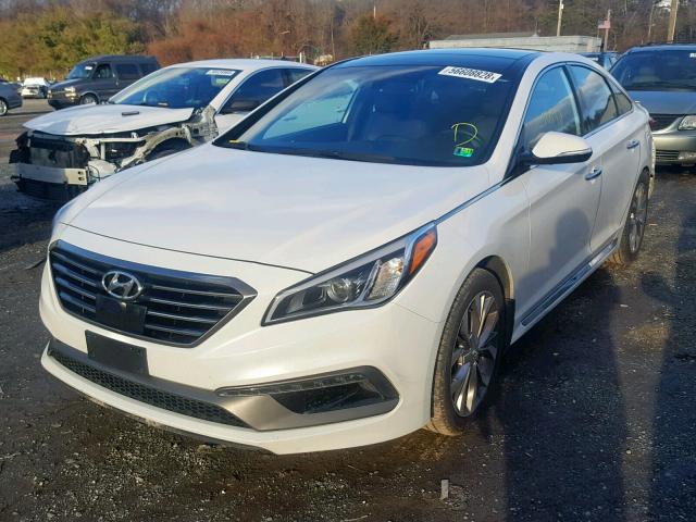 5NPE34AB8FH130382 - 2015 HYUNDAI SONATA SPO WHITE photo 2