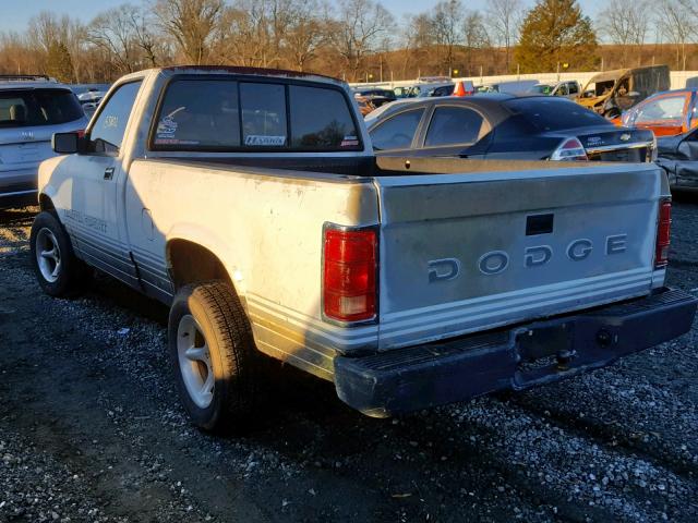 1B7FL66X6KS085636 - 1989 DODGE DAKOTA SPO WHITE photo 3